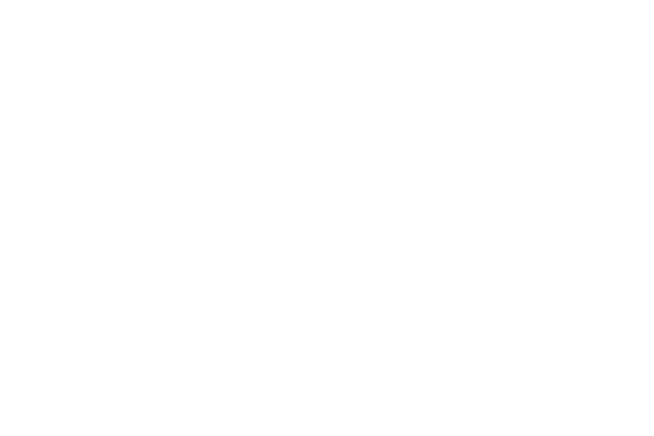 AUTOart